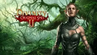 Divinity Original Sin 2 | Lady Vengeance'la Yelkenler Fora
