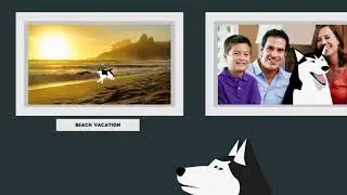 Drug Commercial Parody - Arthritis in Dogs