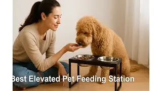 🐕 COMESOON Elevated Dog Bowls, 4 Height Adjustable Bowl Stand | Best Elevated Pet Feeding Station 🐕