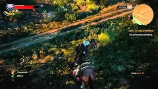 Let&acute;s play the Witcher 3 #021 - Velen N&ouml;rdliches Temerien [Deutsche Version]