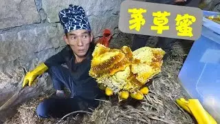 茅草屋里发现一窝野生蜂蜜，只可惜割的太早了，下个月就刺激了 #我的乡村生活