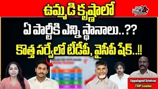 Mood Of Andhra | Latest Exclusive Survey On Krishna District| AP Election 2024 | Wild Wolf Telugu