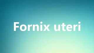 Fornix uteri - Medical Meaning and Pronunciation