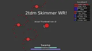 Diep.io 1.3m Skimmer 2tdm World Record