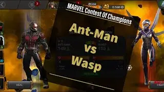 Ant-Man vs Wasp
