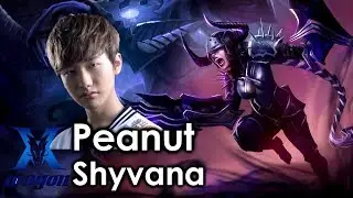 Peanut picks Shyvana