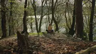 Max Kelm • The Trees are Talking (Music Video) • Celestial Dream