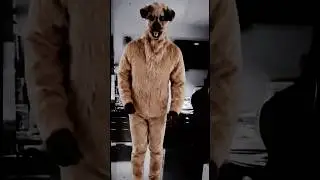 Un skinwalker 👻 #skinwalker #perro #creepy #miedoyterror #creepypasta #paranormal