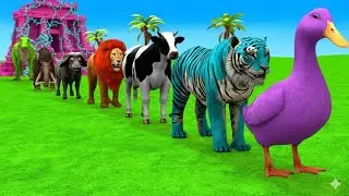 Wild Animal Slide Battle 😆🐘🐄 | Fun 3D GameFunniest Animal Slide Race Ever 😂 | 3D Animals Game