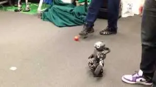 Mini humanoid robot kicks ball, flips over