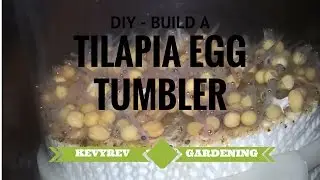 Tilapia Egg Tumbler- DIY BUILD!!
