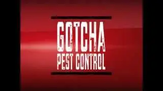 Gotcha Pest Control - Vicious killer bee promo 2011
