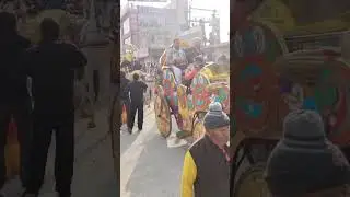 Jaipur ke nindar gav me nikali gai kalash yatra 21000 mahilao ne liya bhag #shortvideo #2026