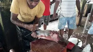 fish cutting sri lankan master amitha #fish #tuna #tunacutting