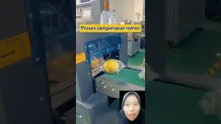 Proses pengemasan lemon #reaction #reactionvideo