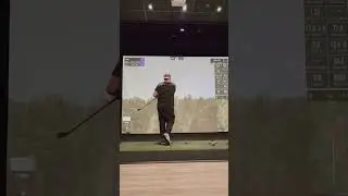 #gspro #mizunogolf #golf#birds #ohio#simulator