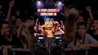 DJ OYEN REMUS TABOLA BALE. GASSS !!! #kucingoyen #funny #catfunny #denis