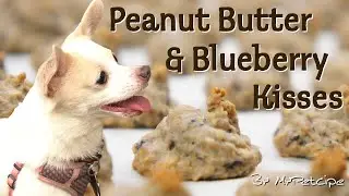 Peanut Butter & Blueberry Kisses | Homemade DIY Treat for Dog | MyPetcipe