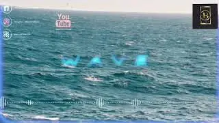 Iejay _ Rora (visuals) Cover