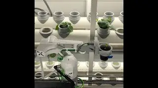 UH students test award-winning growing system at NASA habitat