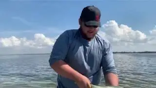 A bad day fishing is better than a good day at work