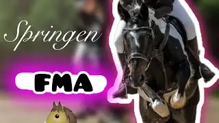 FMA: Parkour springen. || Laraundihrepferde || #equestrian #horse #viral #reitsport 