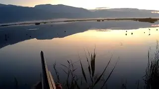 &Ouml;rdek avı 2019, duck hunting,  охота на уток,