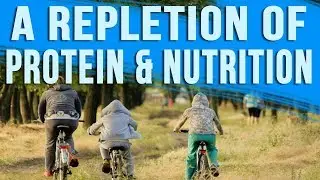 RSP TrueFit &ndash; Lean Protein Shake Review