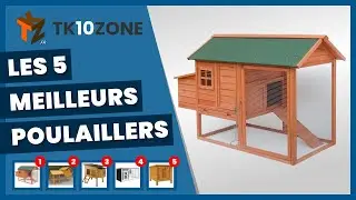 Les 5 meilleurs poulaillers