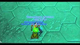Funny Hearthstone bug patch 4.3