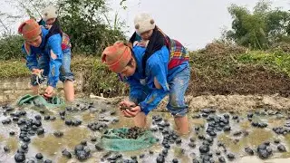 The livelihood of a single mother, watching the peaceful poor countryside.