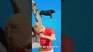 Zack d fillms edit