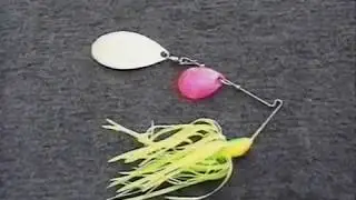 97 Bassmasters -  Potomac River