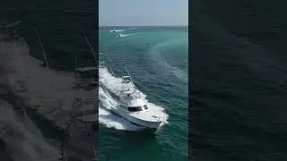 Papi 59' G&S
