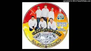 grupo diamante la joya musical en vivo desde repremusic tuxpan ver -tema la chispita