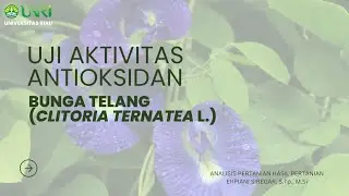 UJI AKTIVITAS ANTIOKSIDAN VARIASI PERLAKUAN BUNGA TELANG DENGAN METODE DPPH