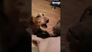 Мне нужен утренний кофе!