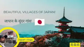 Japan Vlog🇯🇵 Is India's passport really strong?