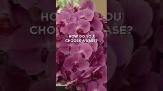 Jeff Leatham Floral Art with Baccarat Pt. 3