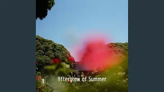 Summer&rsquo;s End Echo