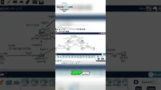 HSRP Network Design: Spine-Leaf vs. Traditional
