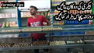 Bakery bussiness in Pakistan ||How to start sweets bussiness || How to start Sweets shop