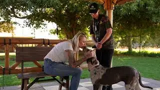 K9 Boot Camp - Program 1