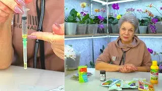 ВСЕ СЕКРЕТЫ!  Лечу орхидею только после полной победы над вредителями... Аптечка для орхидей.