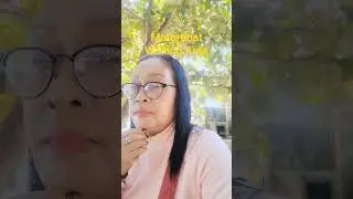 Motorboat Terminal #travel #youtubeshorts #shortsvideo #follow #share #subscribe