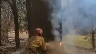 Extreme Dangerous Fastest Big Chainsaw Cutting Tree Machines #6   Forestry machine Tech