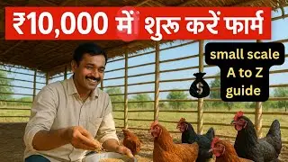 ₹10,000 से शुरू करें खुद का पोल्ट्री फार्म – छोटे पैमाने पर मुर्गी पालन की A to Z गाइड!