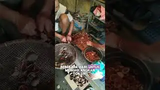 Cara pengolahan buah picung menjadi lauk/sayur makanan #picung #kelewek