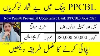 Punjab Provincial Cooperative Bank Jobs 2025 - Operation, IT & Compliance Job - Apply Before 23 July