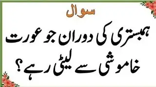 Sawal Jawab | Islamic Questions and Answers | Urdu Islami Paheliyan | Urdu Quiz | Bm Urdu Quiz 